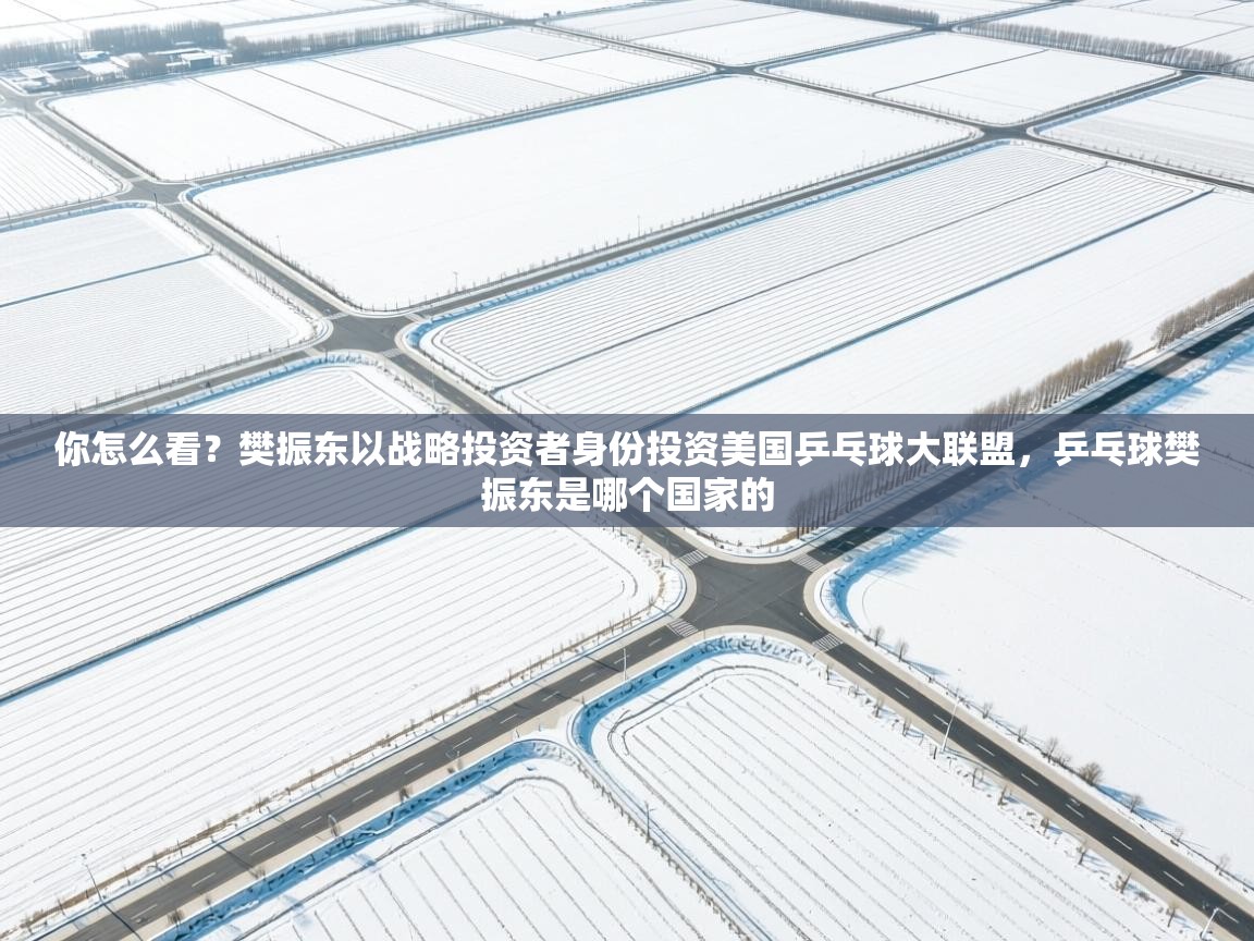 开云体育app官网-你怎么看?樊振东以战略投资者身份投资美国乒乓球大联盟,乒乓球樊振东是哪个国家的 第1张