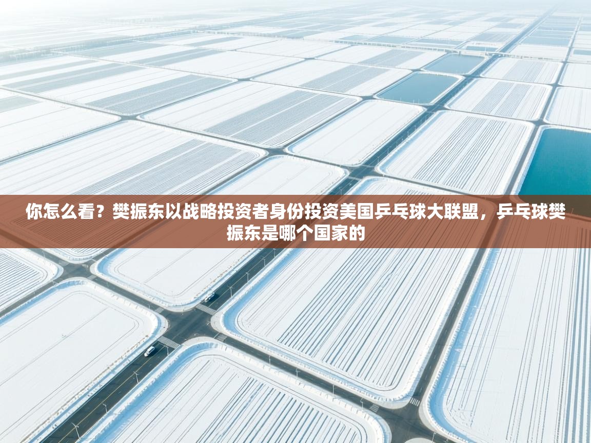 开云体育app官网-你怎么看?樊振东以战略投资者身份投资美国乒乓球大联盟,乒乓球樊振东是哪个国家的 第4张