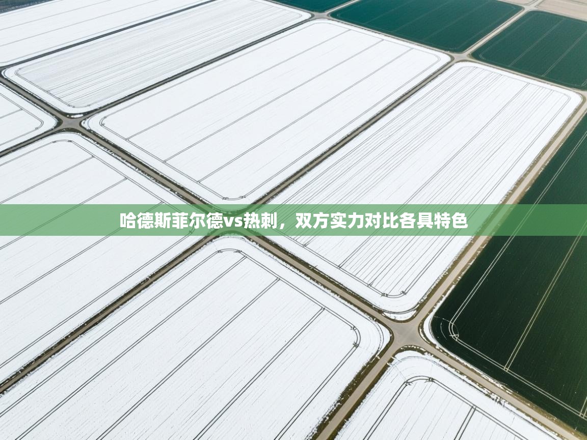 开云体育英文版入口-哈德斯菲尔德vs热刺，双方实力对比各具特色