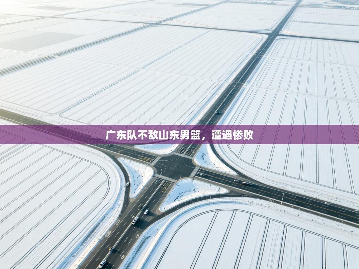 开云平台-广东队不敌山东男篮，遭遇惨败