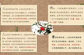天人合一！欧洲国家队的梦幻征程